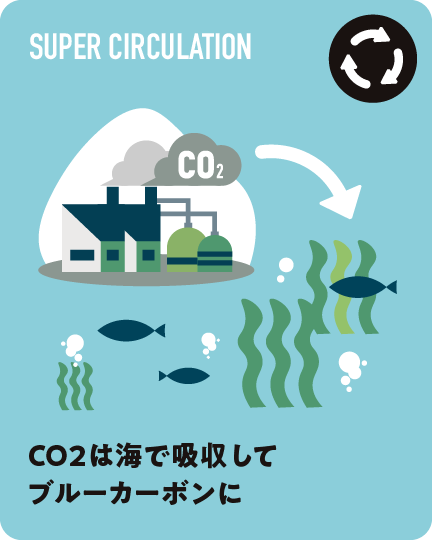 CO2は海で吸収してブルーカーボンに